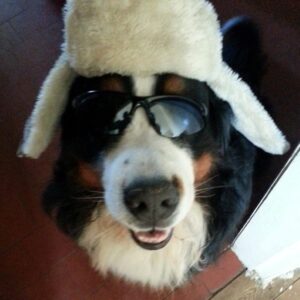 Sunny in hat and sunglasses