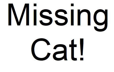 Missing Cat Poster