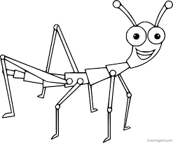 Smiling stick insect