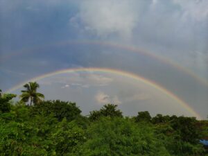 Rainbow